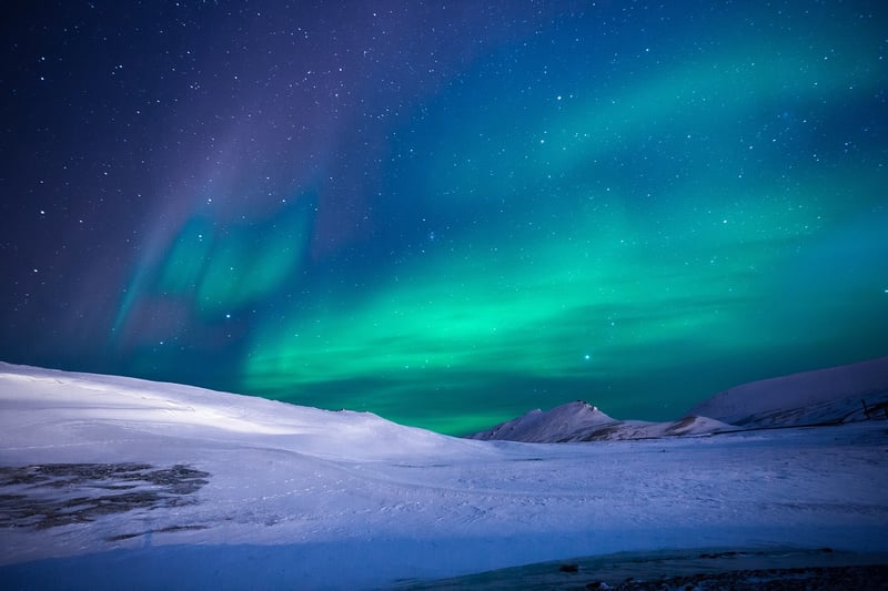 Aurora Bites